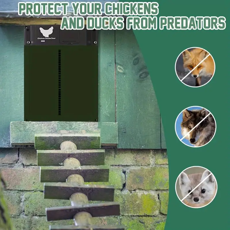 Automatic Chicken Coop Door with Light Sensor 2