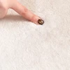 Living Room Cream Style Large Area Carpet New Minimalist Light Luxury High End Home Carpets Fluffy Soft Comfortable Bedroom Rug 6