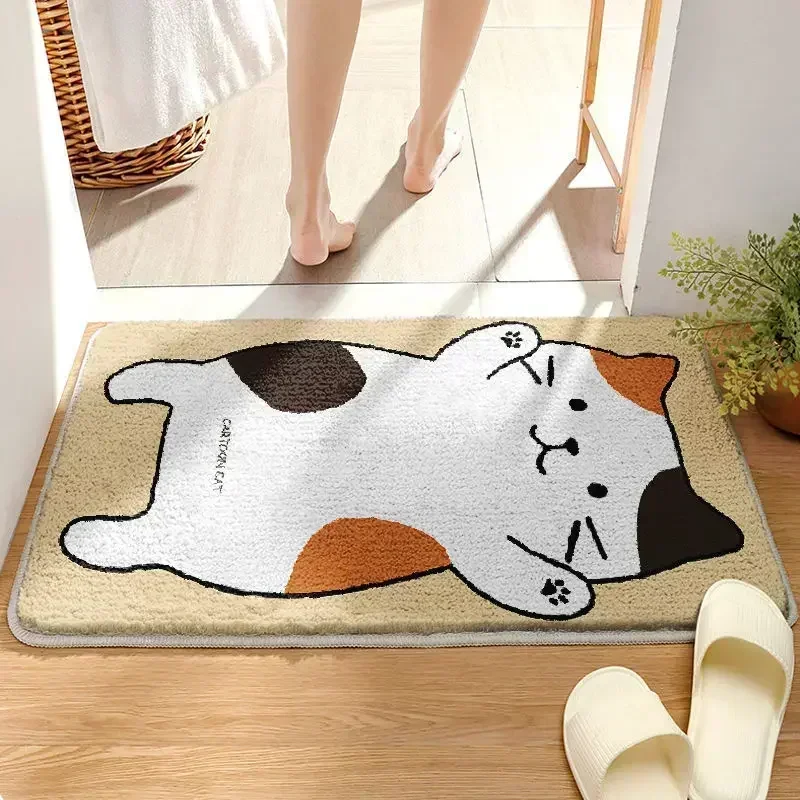 

Carpet entrance door mat, living room anti-skid mat, bathroom absorbent floor mat huodon