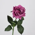 Deep Purple