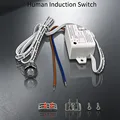 Human Induction