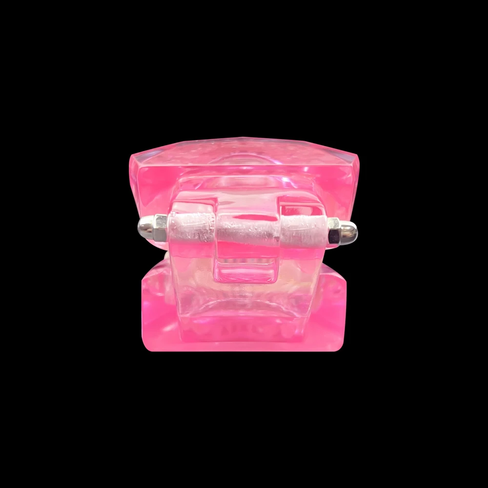 1개 일반 치과 모형 치아 치과 교육 모형 투명 블루 핑크 치과 교육 및 훈련 시연용