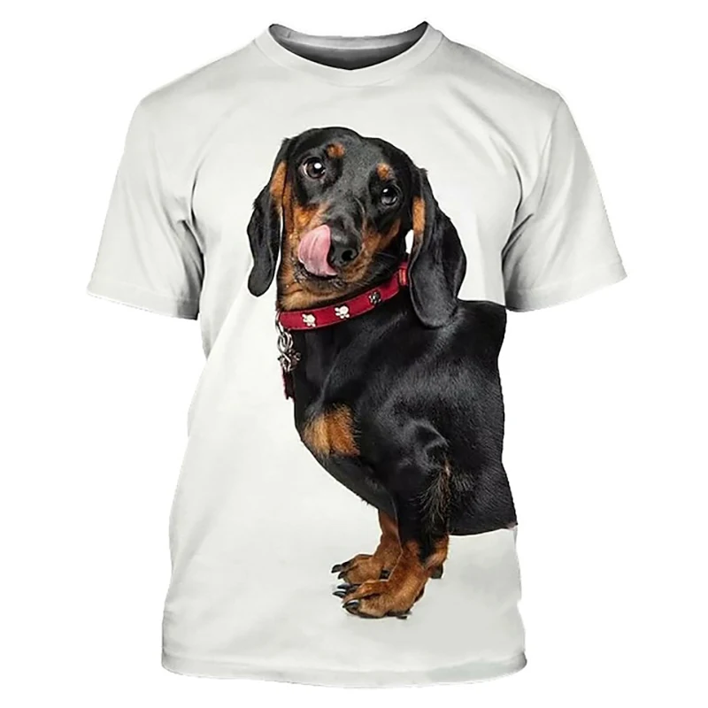 Dachshund 3D Print Oversized T Shirt