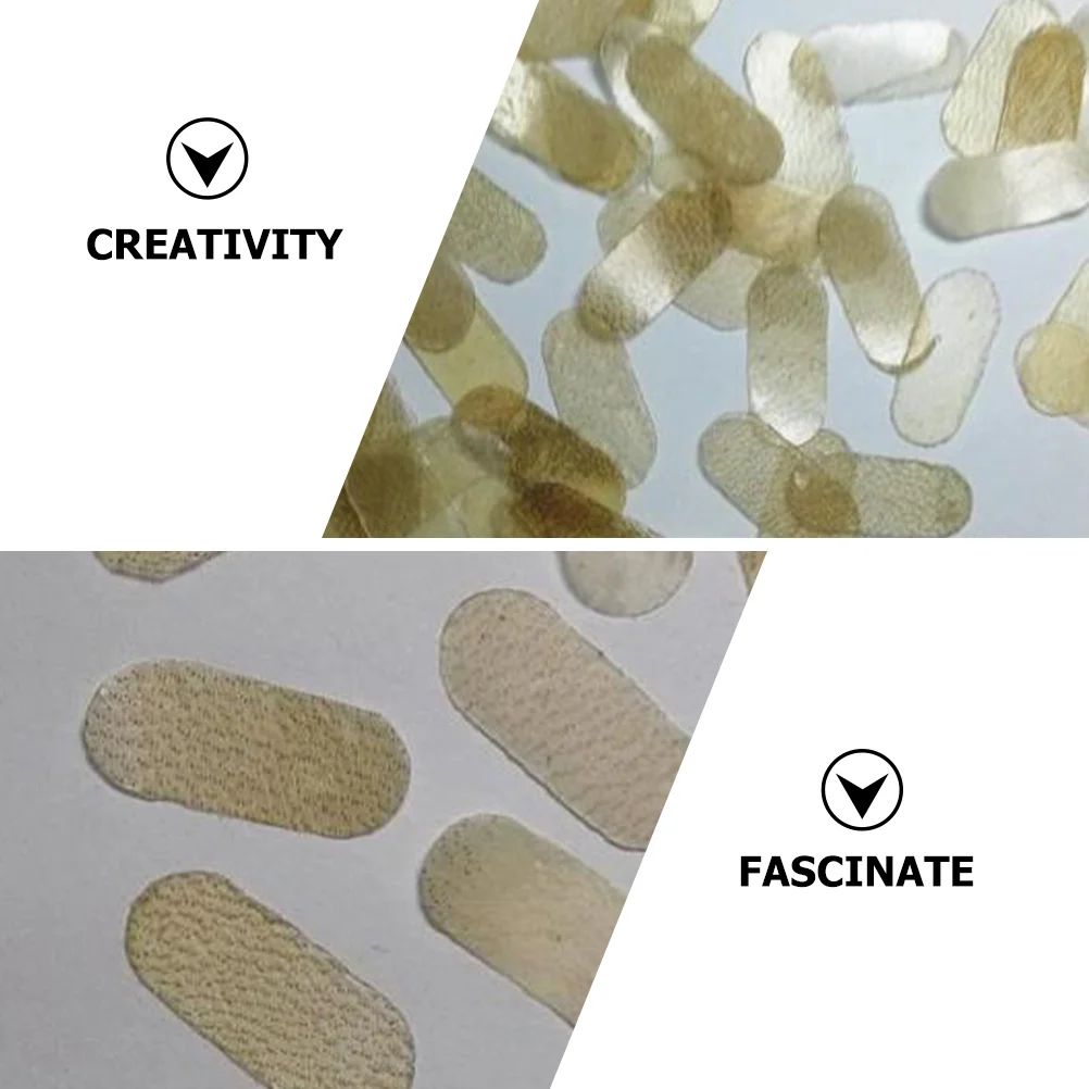 4 Pcs Sheepskin String Pads For Bridge Protection Violin Parts Musical Instruments Professional Accessories Cello Changing