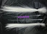 50pcs Natural White Heron Feathers 6-8 inches 6