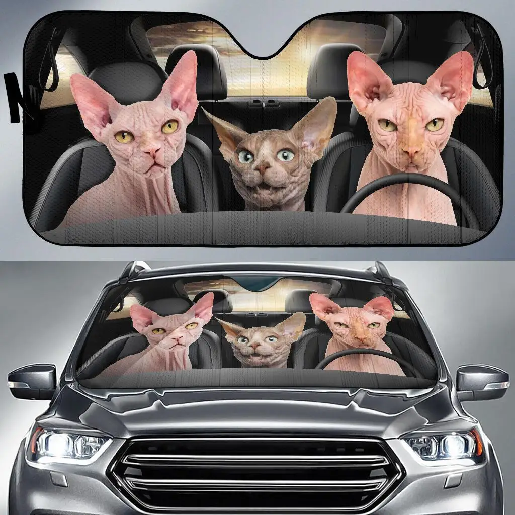 Asus-Pare-soleil de voiture pour chat, décoration de chat, pare