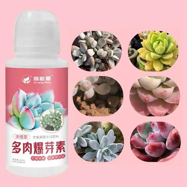 Növényi Gyökérgyökér Folyékony 100Ml Gyors Gyökér Kiegészítés Általános Célú Gyökérjavító Kültéri Növények Számára Virágkerti Kellékek - Image 3
