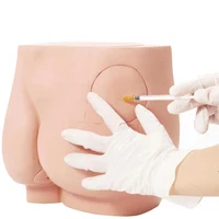 Human Adult Hip Injection Training Model Reusable Manikin Teaching Intramuscular Anatomical Models for Nurse Medical Students