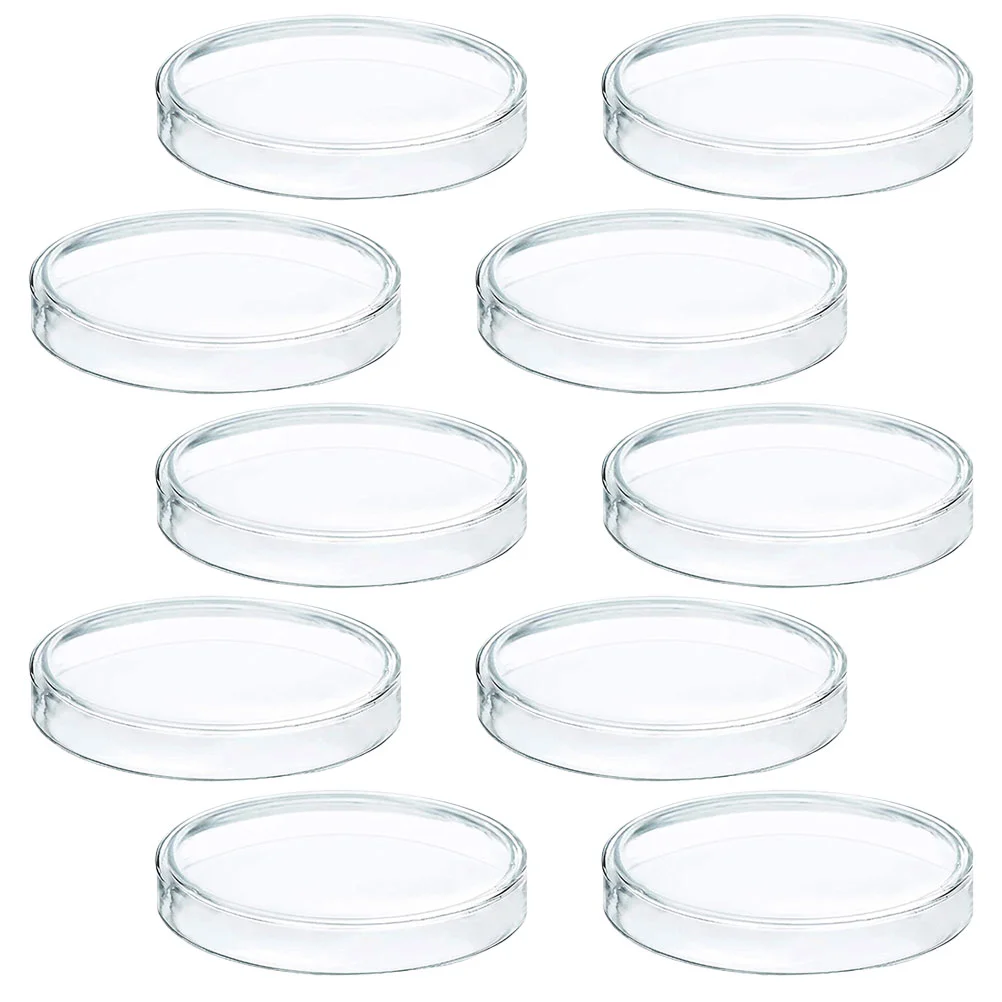 

60mm Disposable Plastic Glass Mushroom Cell Tissue Petri Plates With Lid Laboratory Equipment Culture Dish