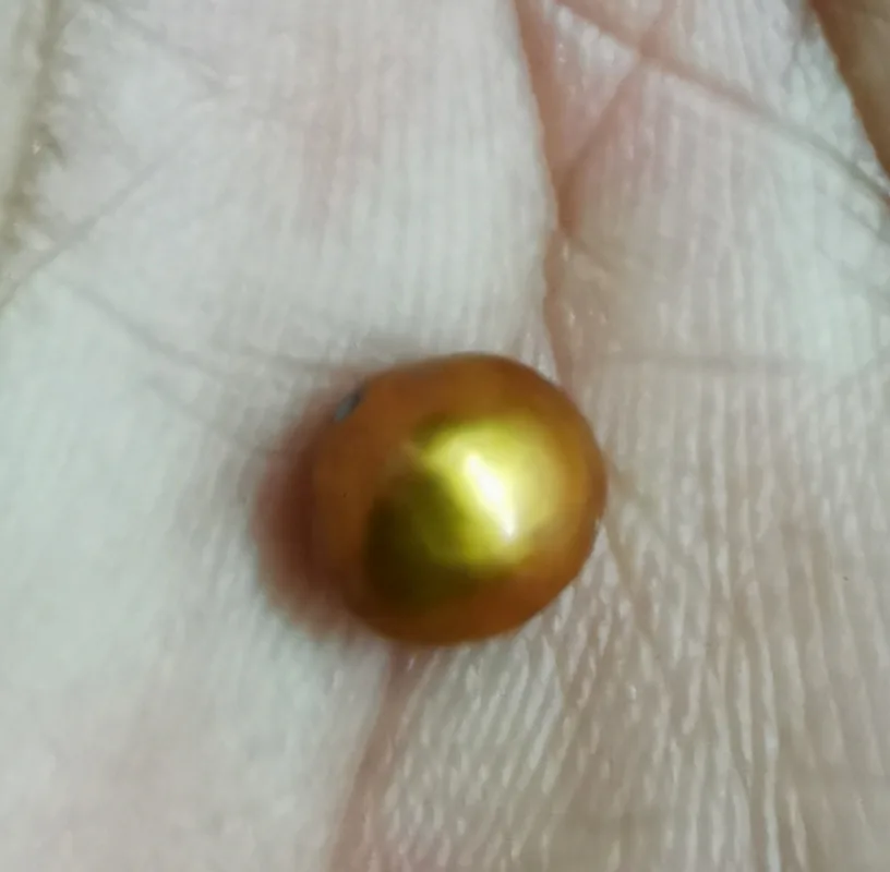 Around 7.167x4.93mm champagne gold bottom loose pearl full drilled for necklace bracelet pendant earring