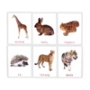 Russian Animals Words Card for Baby 2-6 Years old Enlightenment Teaching tools Montessori Learning Education Cognitive Flashcard 5