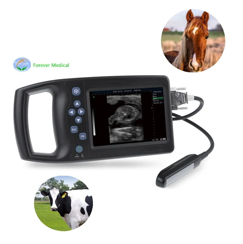 

Portable doppler ultrasound scanner color screen Veterinary Ultrasound machine Clinical hand held ultrasound for Farm animal