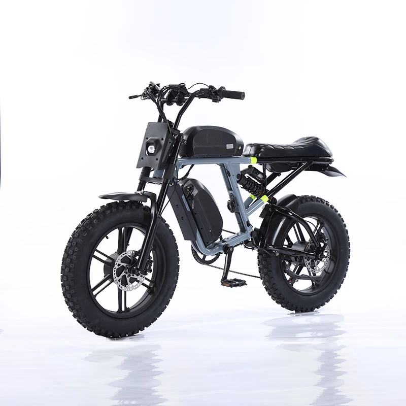 Fat Tire Elektrische Fatbike Bicicleta Electrica Ebike A Doppio Motore Bicicletta Elettrica