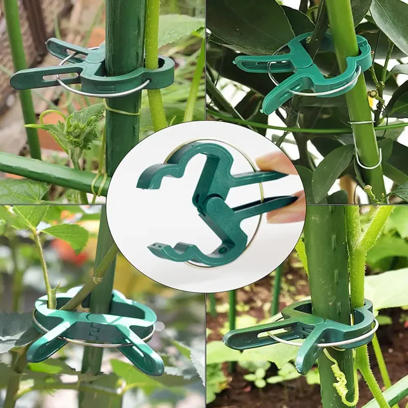 Plant Fixed Clips Reusable Greenhouse Bracket forFixing Stems of Flower Vine Vegetables Tomatoes Fastener Garden Supplies