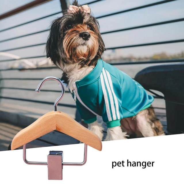  20 perchas para ropa para mascotas, adorables y