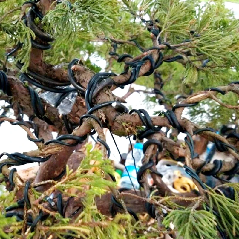 Slide image 6cf0a0cdc0f74f749eb43256c90d2240