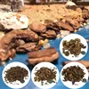DIY Simulation Stone Bark Model Assembly Diorama Making Mountain Rock Platform Material World Sand Table Building Scene Layout 1