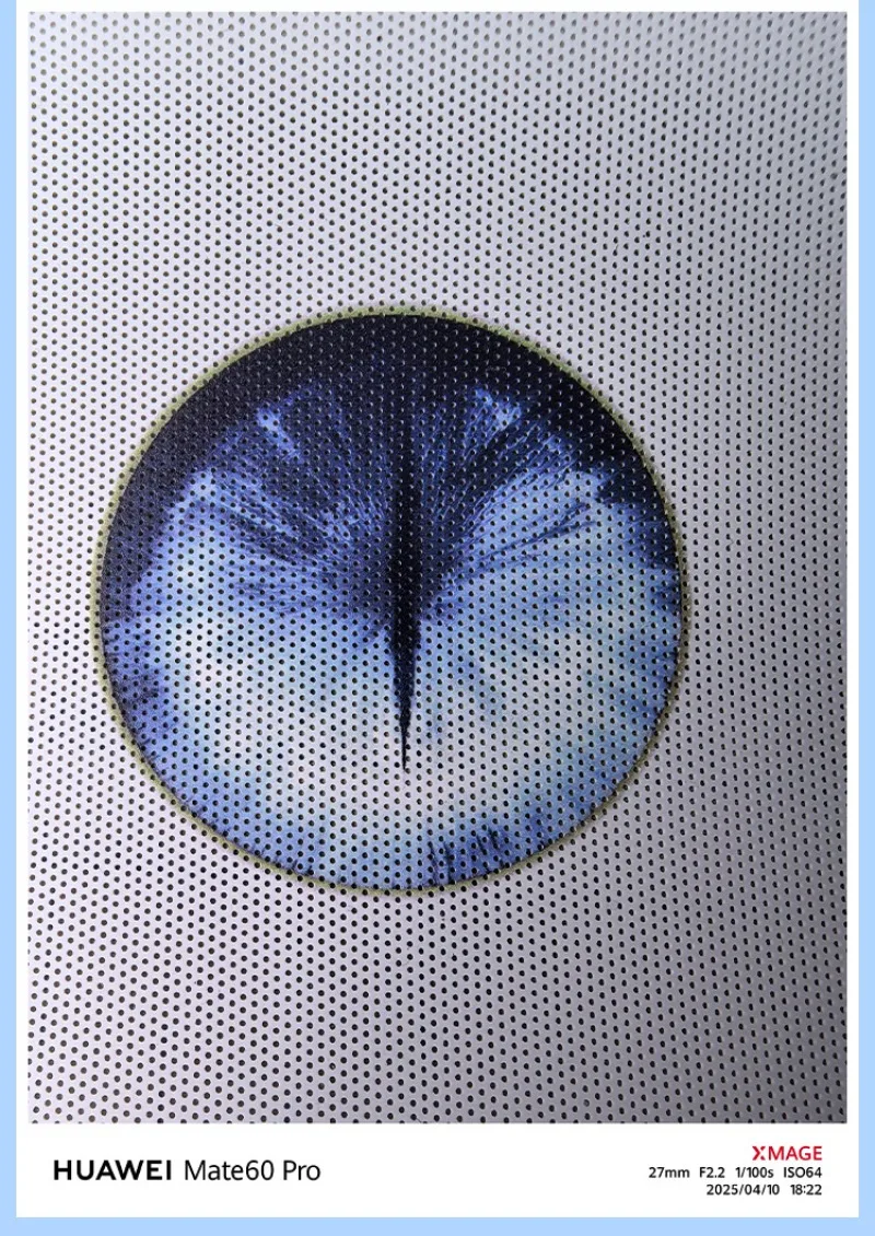 Blyth Pupillen Glas Augen Kit für Drachenkatze Puppe 12