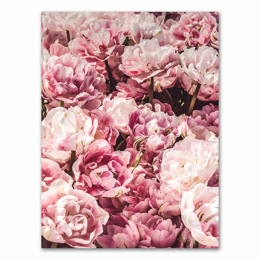 Cadre mural Bouquet de fleurs pastel - pivoines dans des tons roses