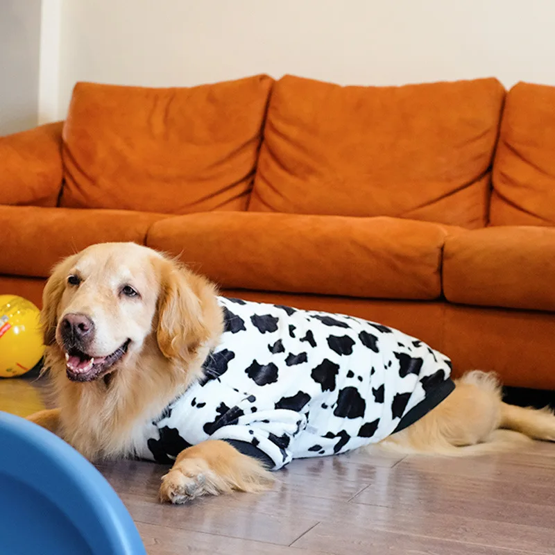 A dog wearing a cow costume.