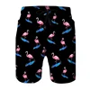3D Printed Cat Dog Eagle Short Pants For Men Animal Food Pattern Beach Shorts Summer Casual Street Sport Quick Dry Swim Trunks 5