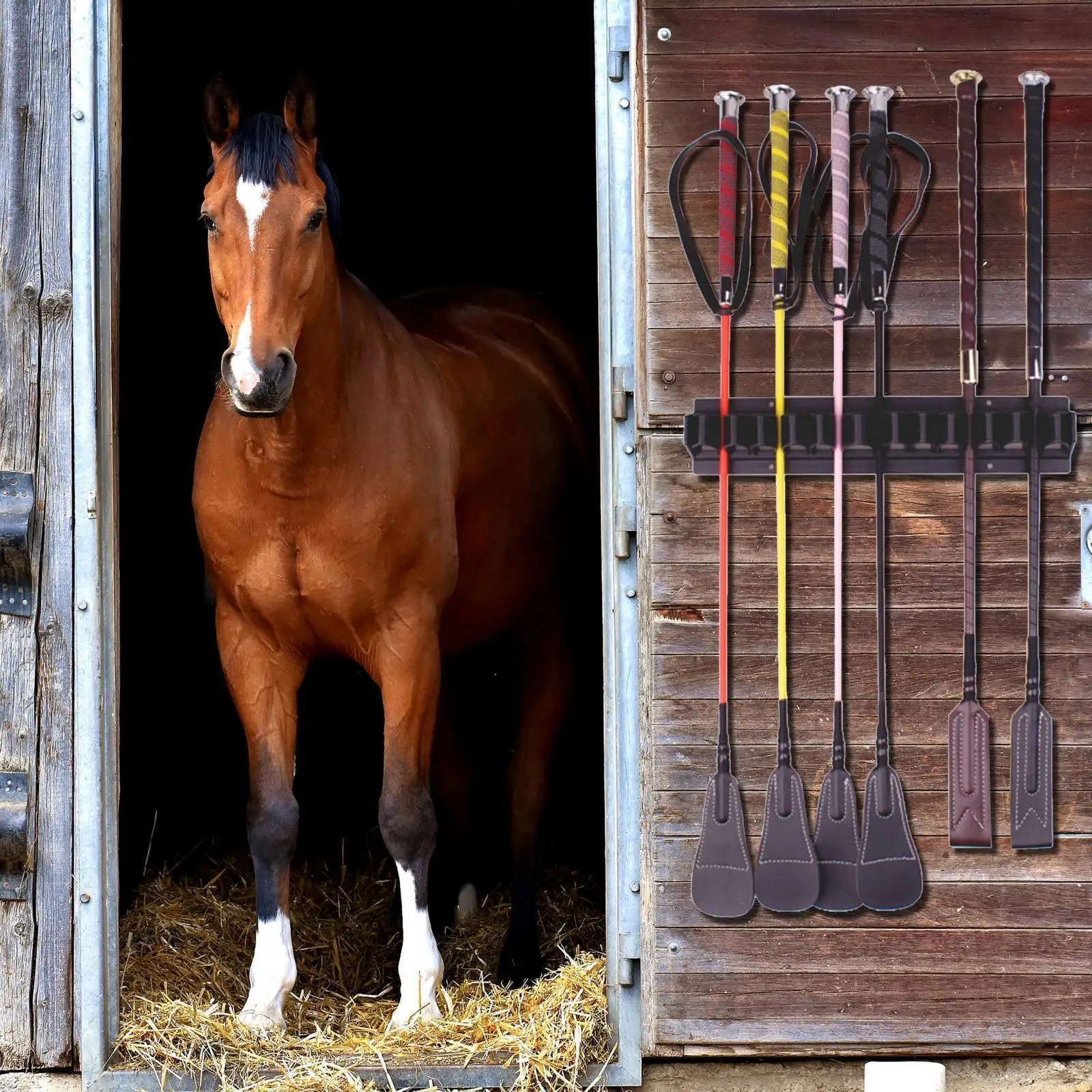 L'organizzatore fissato al muro del supporto del raccolto della cremagliera della frusta tiene gli accessori delle stalle del cavallo della staffa di immagazzinaggio dell'attrezzatura della stanza di 12 Tack