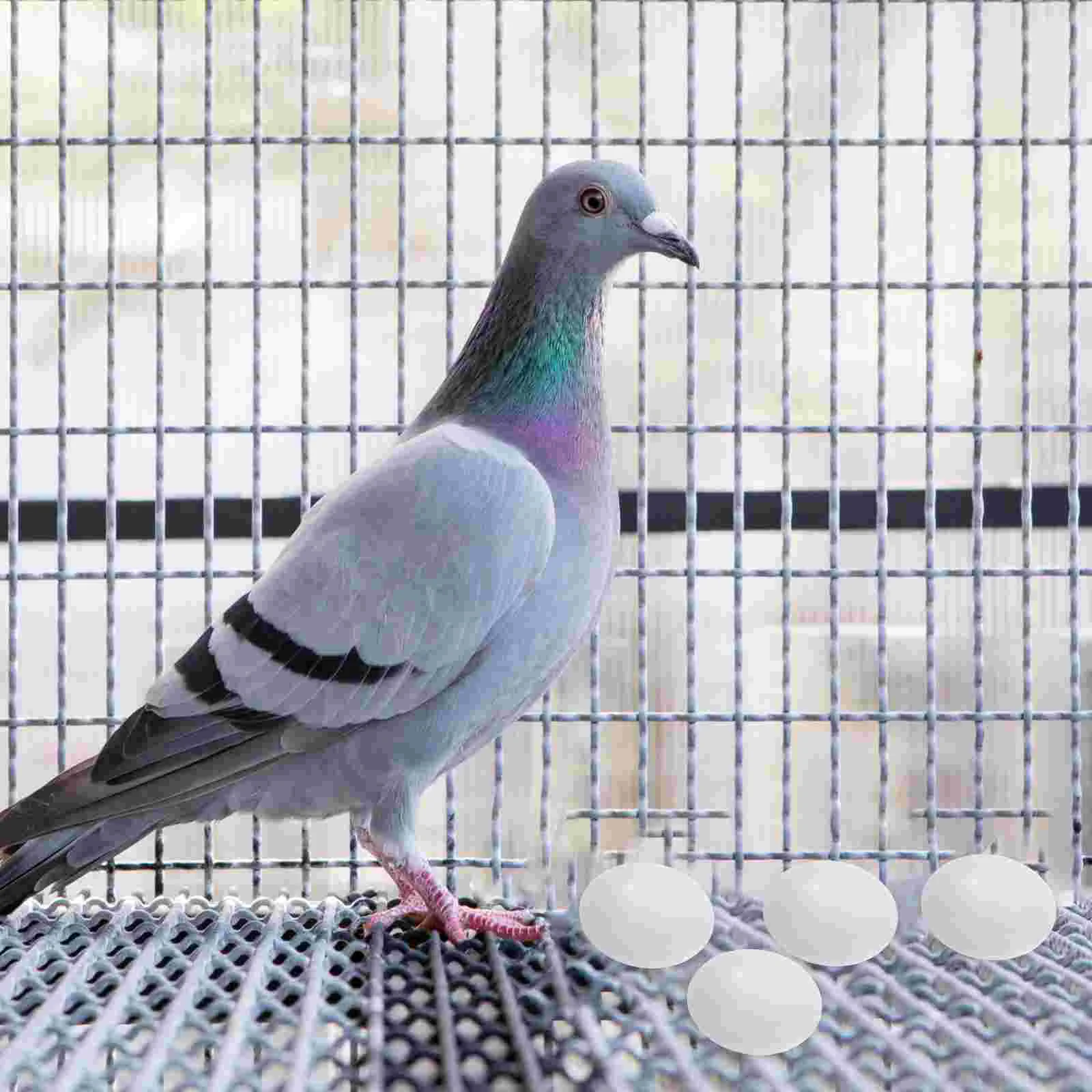 

10pcs Simulation Bird Eggs Prop Bird Breeding Prop Fake Bird Egg Decoration