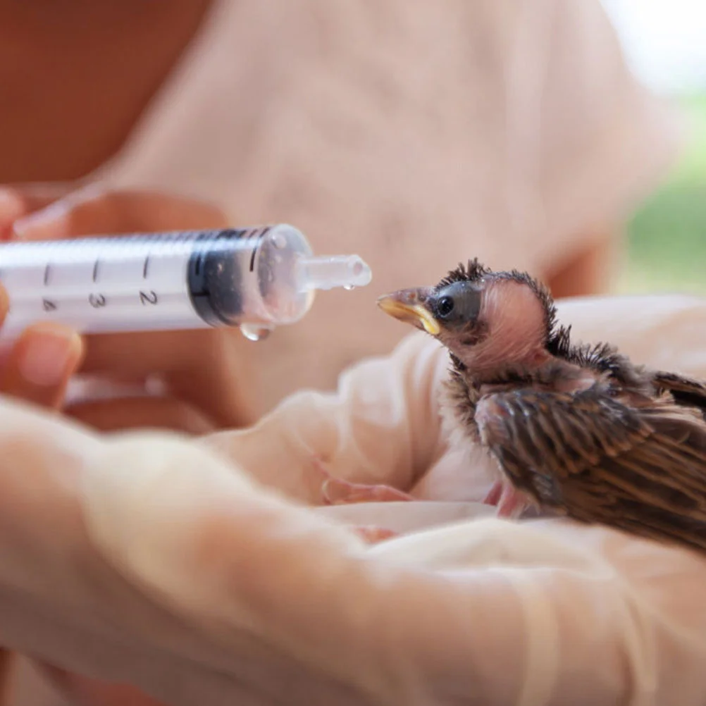 

12 Pcs Perfume Dispenser Plastic Syringe Liquid Measure Tool Measuring Dispensing