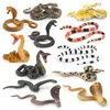 Simulated wild reptile, cobra, python, green forest python, coral snake, children's cognitive decorative ornament toy 2