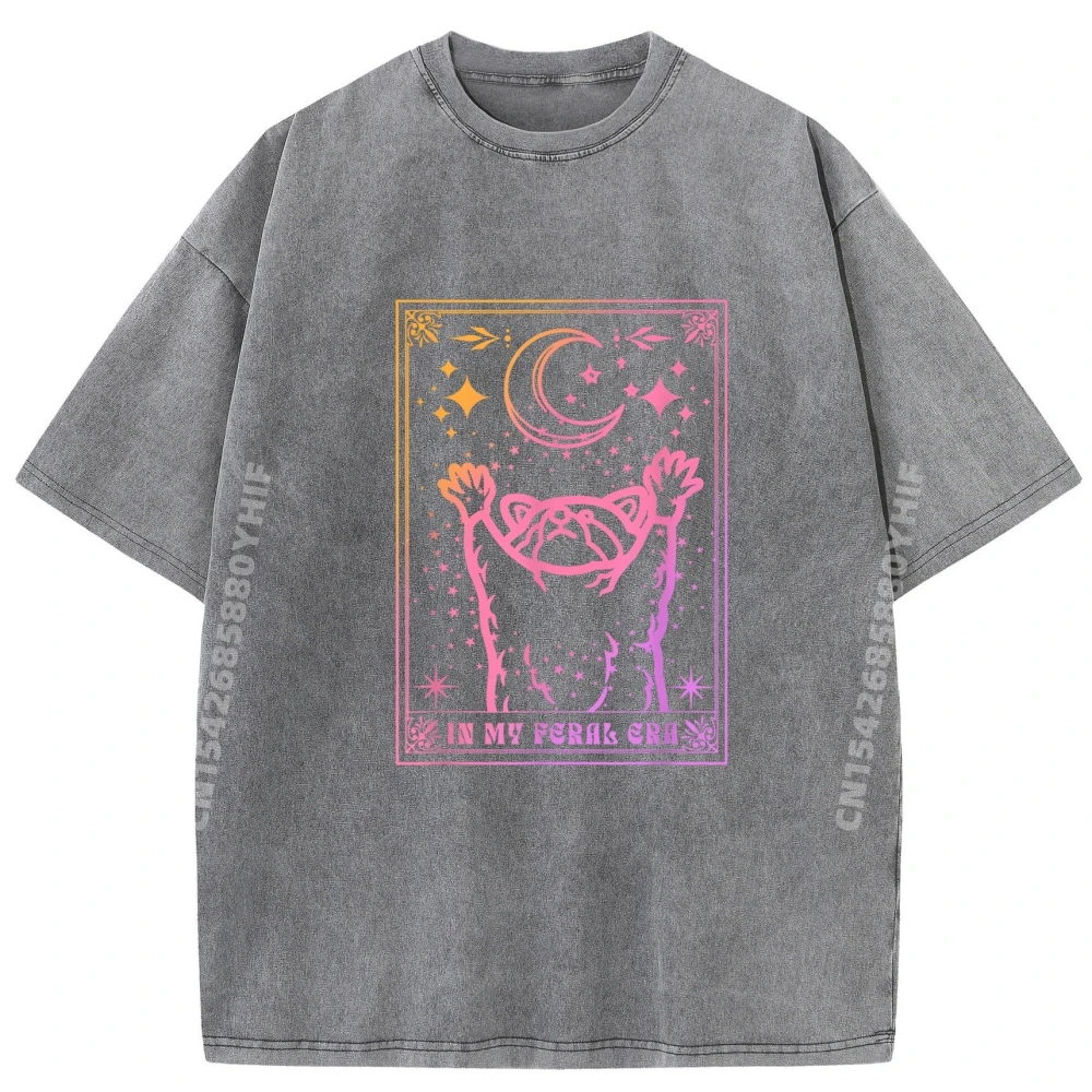In My Feral Era Lover Gift T-Shirt Gift Idea 100% Cotton Christmas Tees Normal T-Shirt Retro washed Short Sleeve Newest O-Neck In My Feral Era Lover Raccoon_B19876 carbon