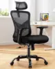 Huanuo Ergonomic Office Chair, High Back Desk Chair With S-Shaped Backrest, Adjustable Lumbar Support, Headrest, Armrest, Mesh 1