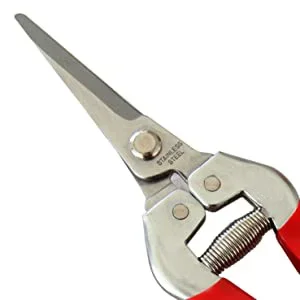Gardening Hand Pruner Garden Scissors Pruning Shears Micro-Tip Pruning Snips Leaf Trimmer Straight Florist Scissor For Plants