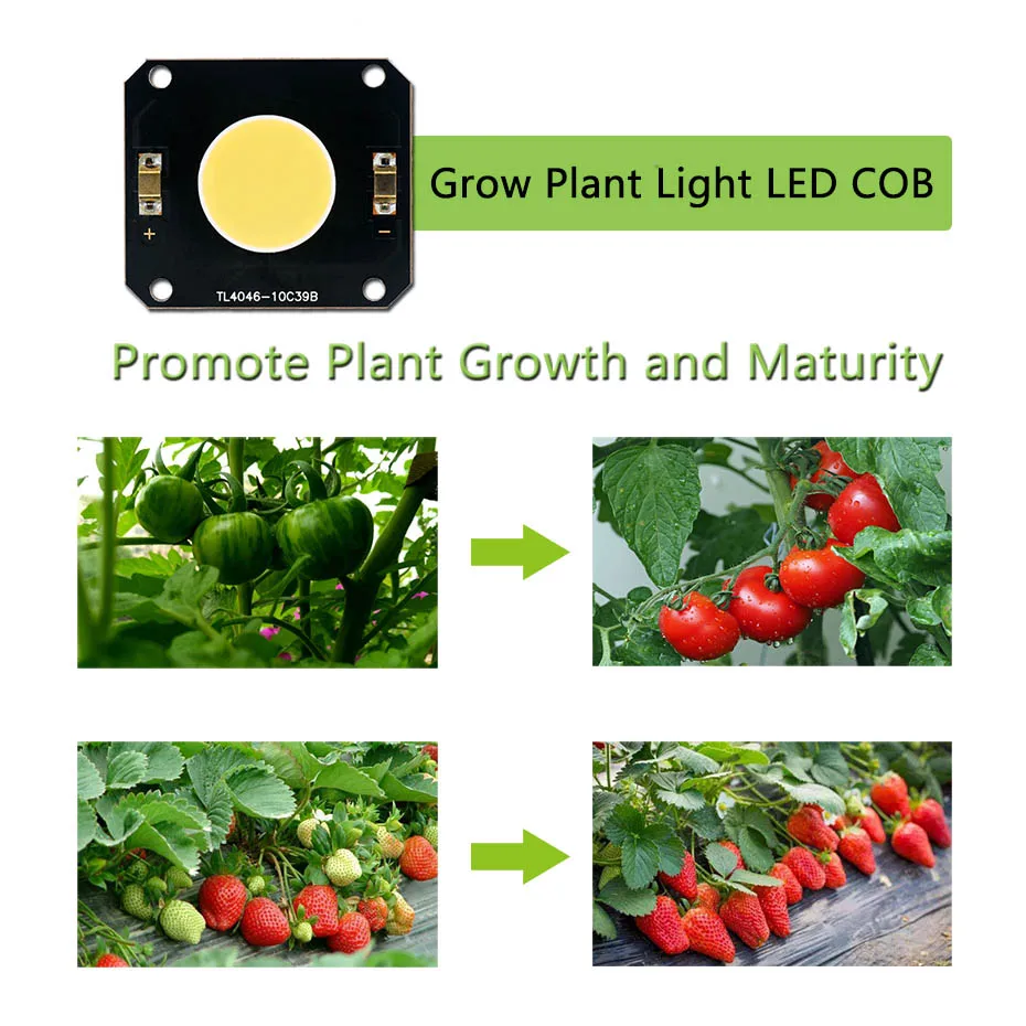 Description Picture 6 of item150 200W DC29-31V LED COB Chip for Grow Plant Light Full Spectrum Plant Lighting Bulb Plant Fill Light