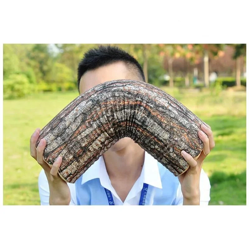 Stump Creative Pillow High Simulation Round Stump/wooden Board/cutting Board Modeling Cushion Cute Pillows