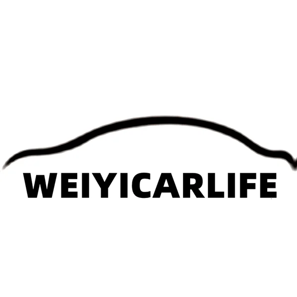 WeiyiCarlife Store