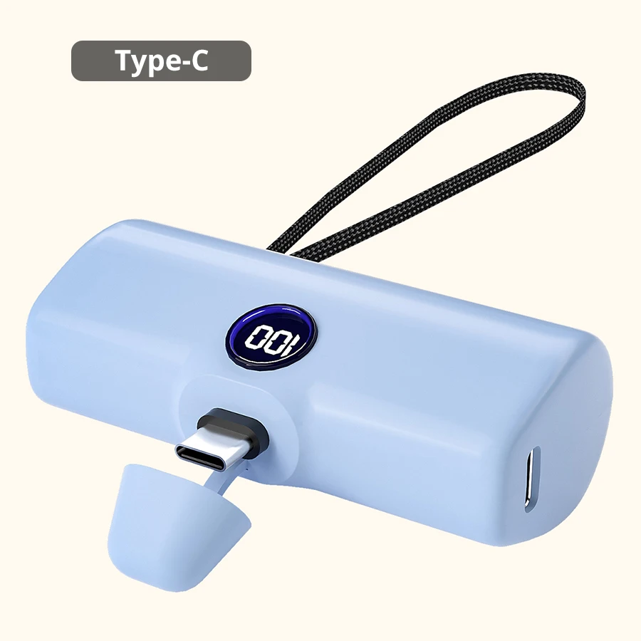 Blue Type C plug