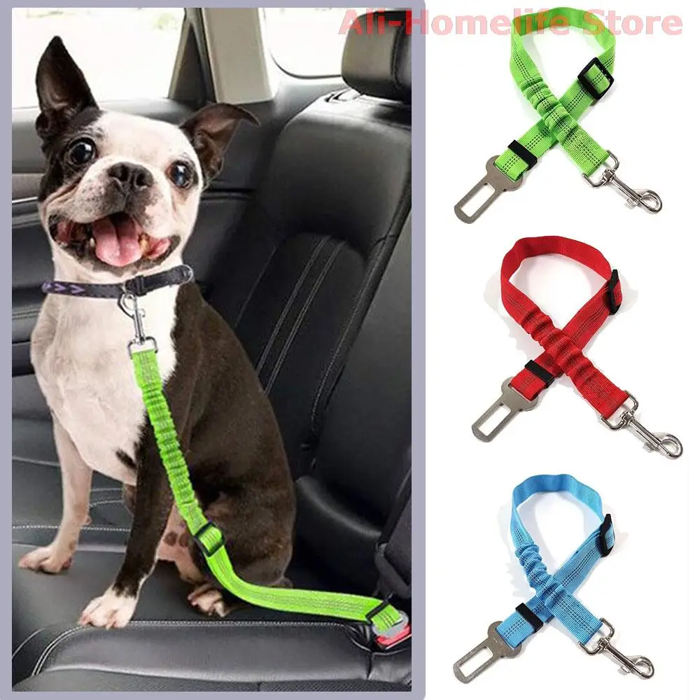 Pet Collar Home Depot Dog Leash Stake Dog Tie Out Cable Home Depot