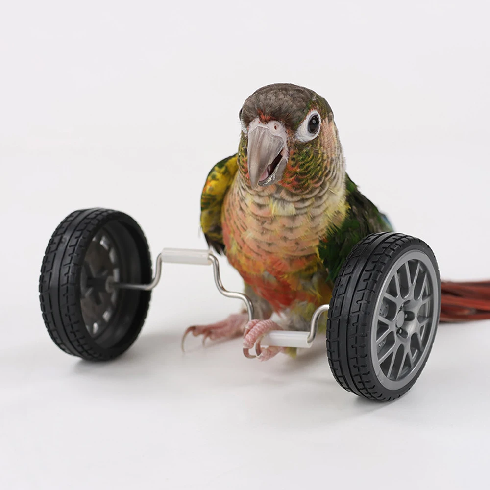 1pc Parrot Balance Car Toy Mini Interactive Intelligence Training Toy for Pet Bird Parrot Cockatiels Budgie Skill Training Props