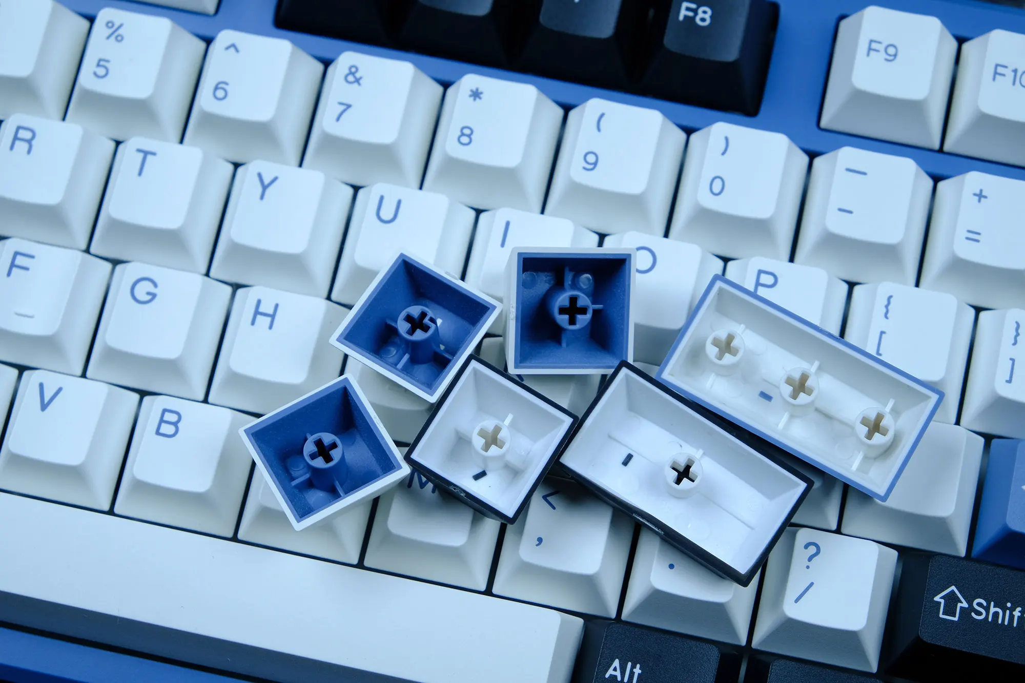 duplo, PBT, ISO, Olivia botânica, Apollo, Ártico, WOB, SHOKO, Nautilus