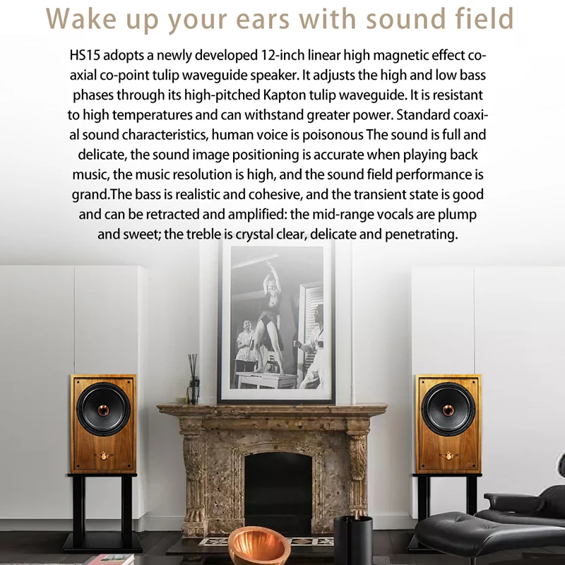 hifi speak Banlong high-end fevergrade 12-inch coaxial bass bookshelf hifi bookshelf speakers high-fidelity passive audio veneer