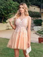 Rose Appliques V Neck Sleeveless Lace Tulle Mini Dress 4
