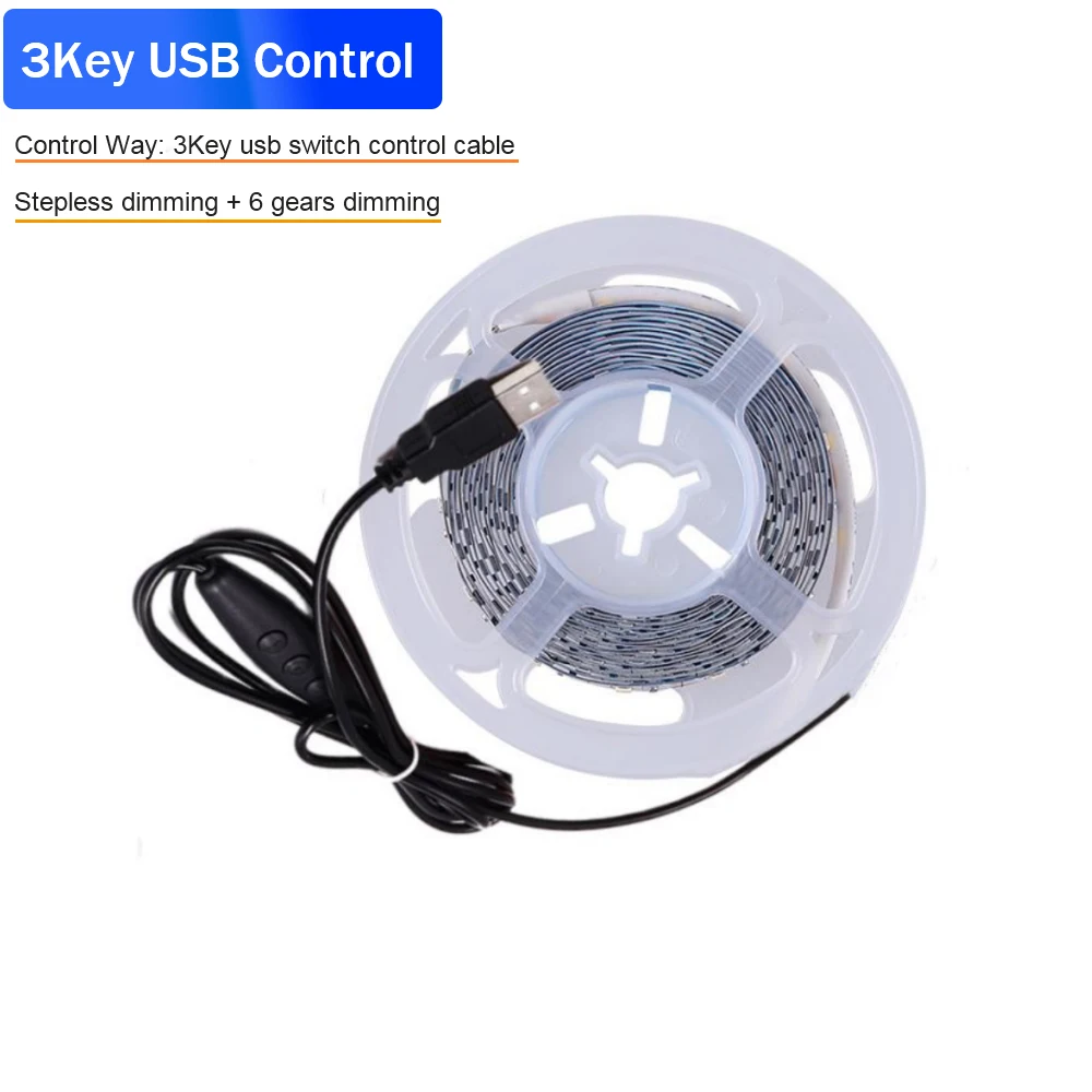 Dimmbare USB-LED-Licht leiste 5V 60leds/m weiß warmweiß rot blau grün 2835  Lampe Band TV-Hintergrund beleuchtung Lampe mit HF-Fernbedienung -  AliExpress