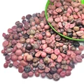Black Rhodonite