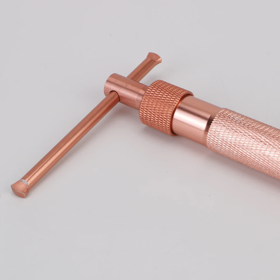 Polymer Clay Cake Sculpture Extruder with 20 Tips