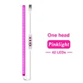 Pink Light 1 head