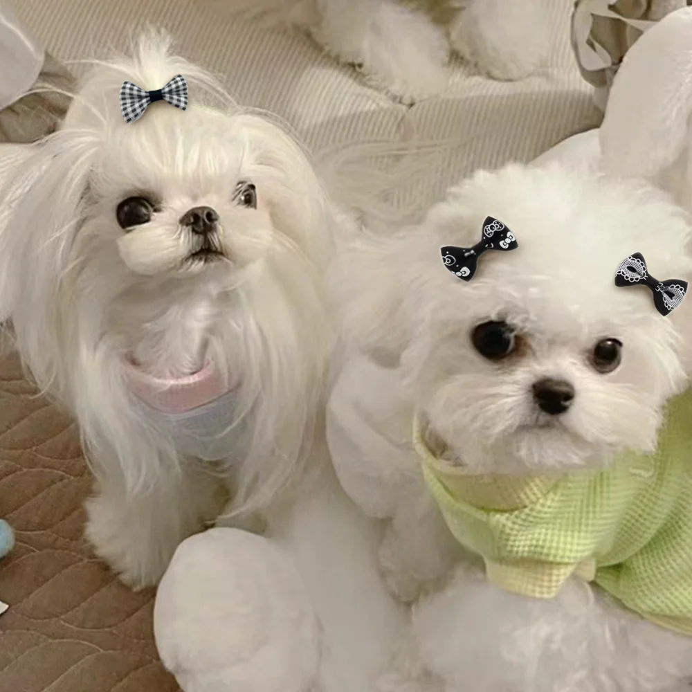 Set Cute Yorkie Pet Bows Small Dog Grooming Accessories Rubber Bands Puppy Cats Black White  Plaid Dogs Bows Headwear Pet Items 4