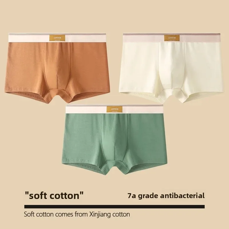 Cloth label [pure cotton -3 pack] Brown + beige + Bean Green