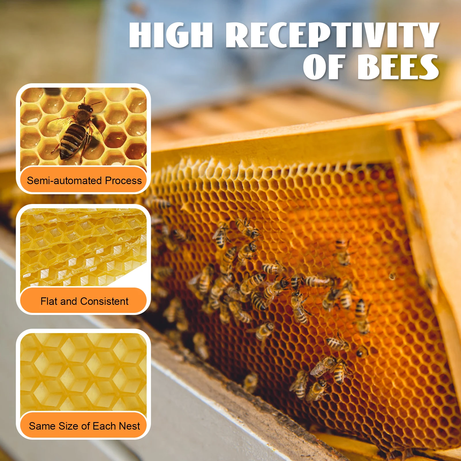 Beekeeping Wax Foundation Frames for Honey Production