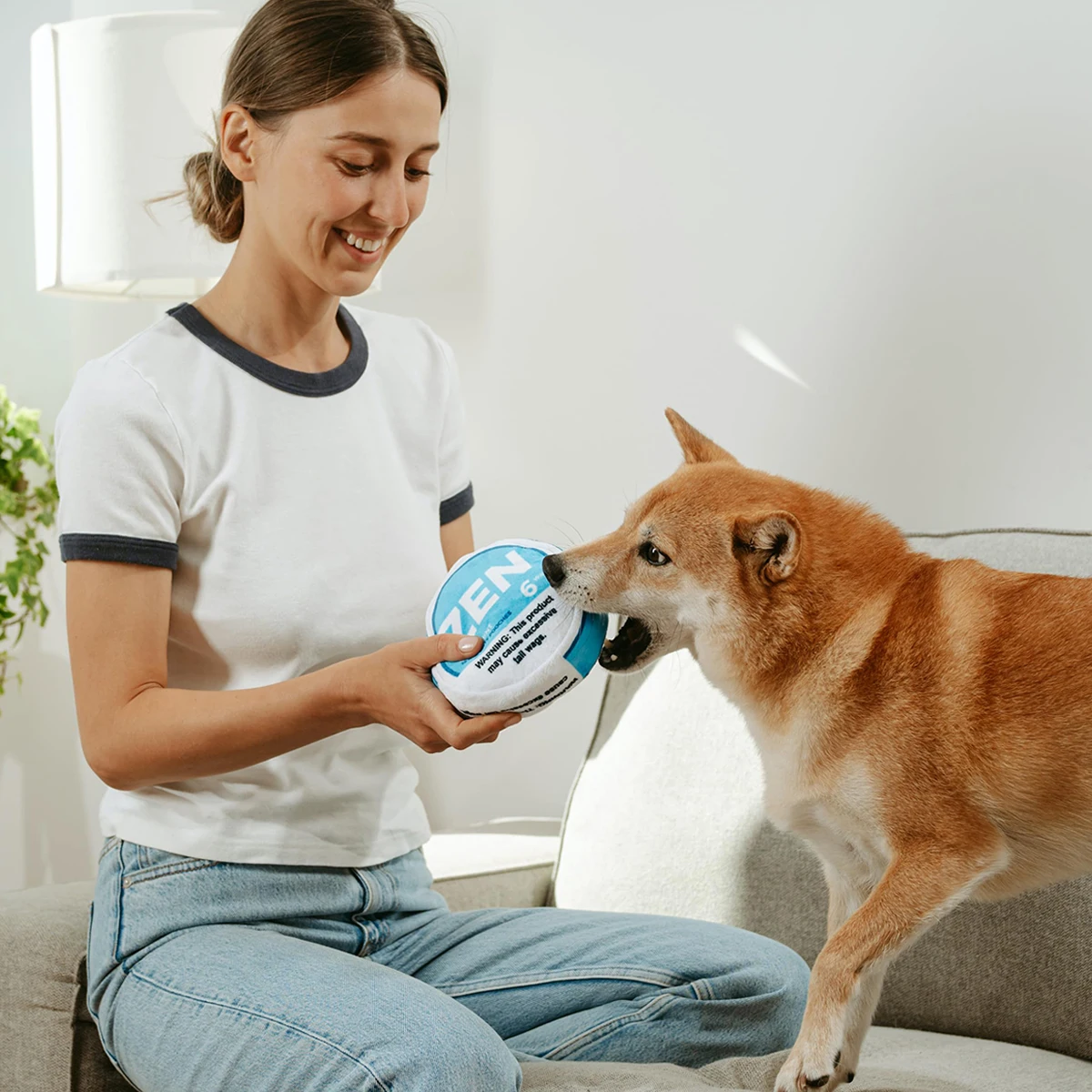 Zen Pupper Deckies Parody Dog Toy - Plush Squeaky and Crinkle Funny Dog Toy - Drool Mint 5