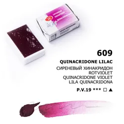 Professional Russian White Nights Watercolor Set - Extra Fine Artist - Grade Pigments, Vibrant Lightfast Colors (609)